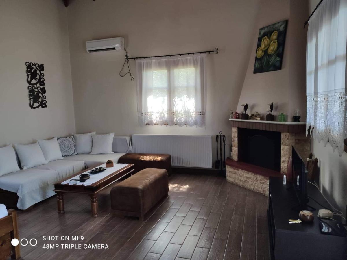 Elia House 1 Astoning Sea View Among The Olive Trees Apartment Patitiri  Bagian luar foto