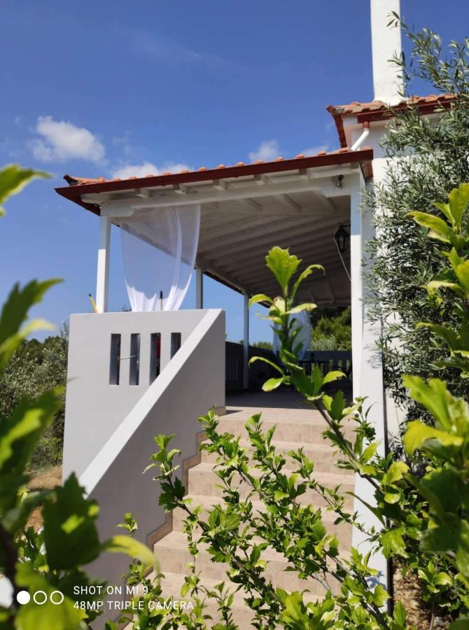 Elia House 1 Astoning Sea View Among The Olive Trees Apartment Patitiri  Bagian luar foto